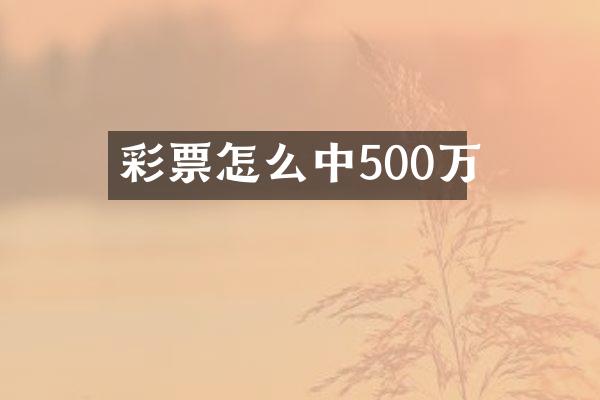 彩票怎么中500万