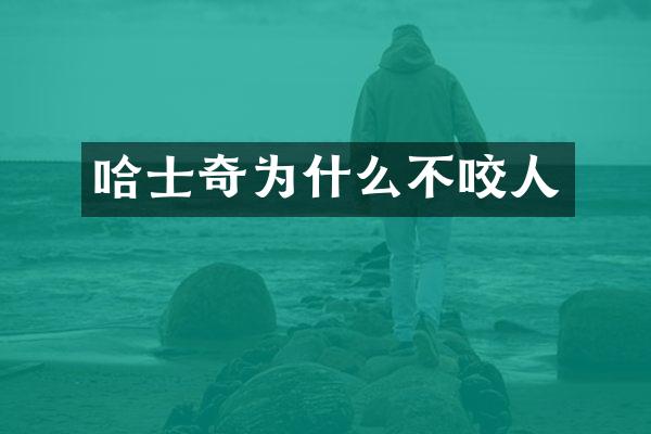 哈士奇为什么不咬人