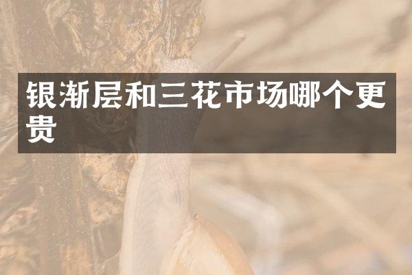 银渐层和三花市场哪个更贵