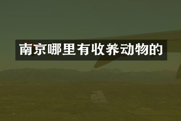 南京哪里有收养动物的