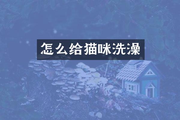 怎么给猫咪洗澡