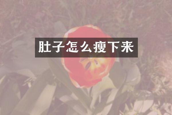 肚子怎么瘦下来