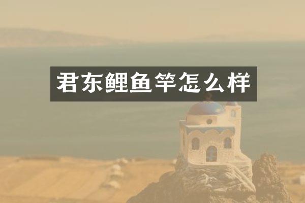 君东鲤鱼竿怎么样