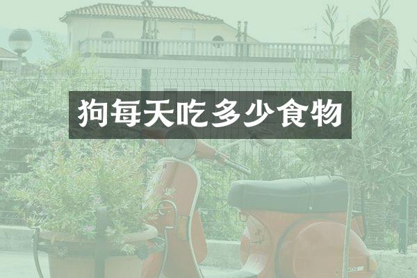 狗每天吃多少食物