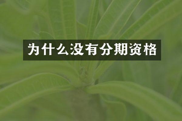为什么没有分期资格