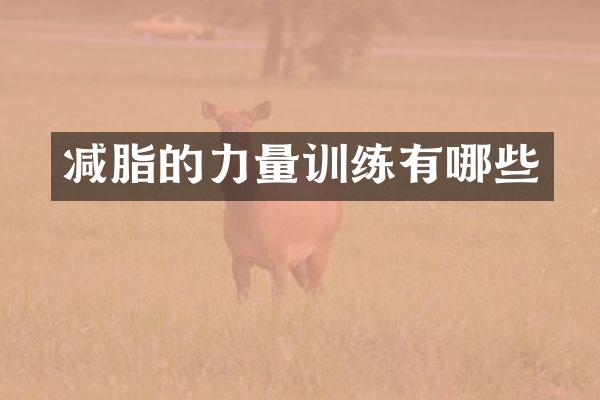 减脂的力量训练有哪些