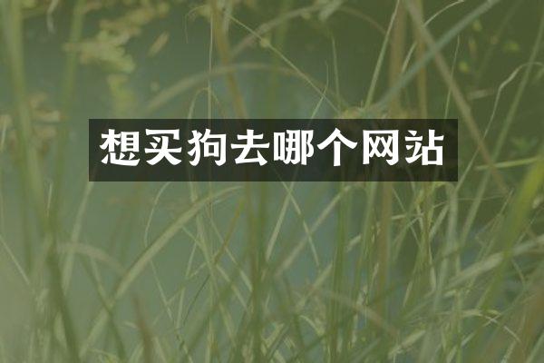 想买狗去哪个网站