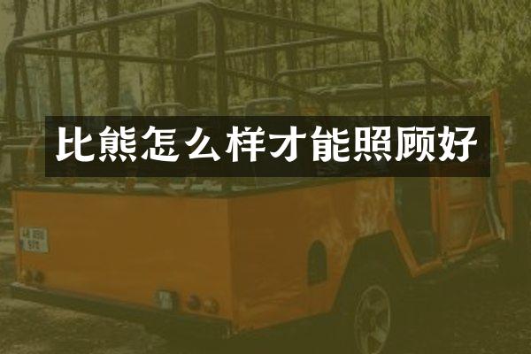 比熊怎么样才能照顾好