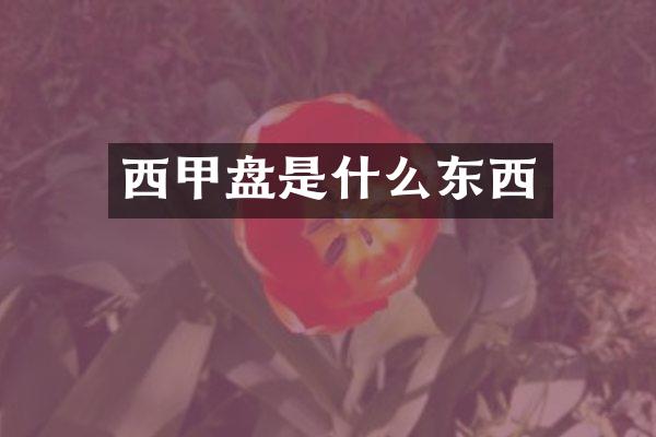 西甲盘是什么东西