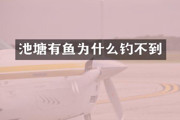 池塘有鱼为什么钓不到