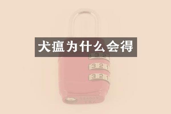 犬瘟为什么会得