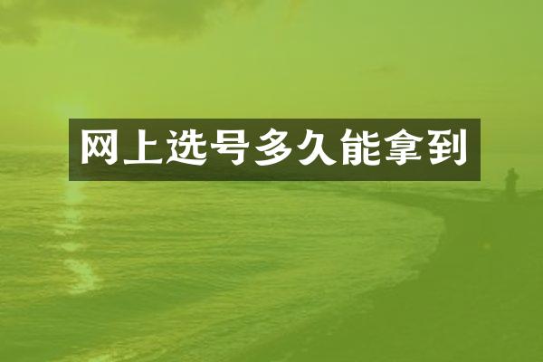 网上选号多久能拿到