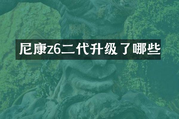 尼康z6二代升级了哪些