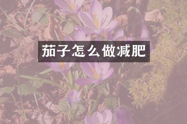 茄子怎么做减肥