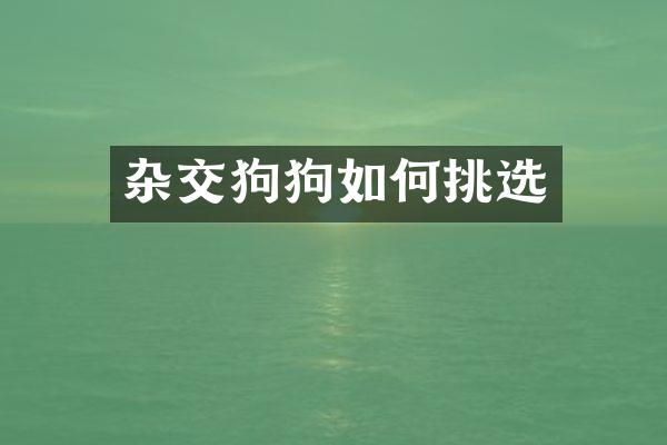 杂交狗狗如何挑选