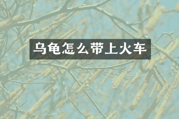 乌龟怎么带上火车