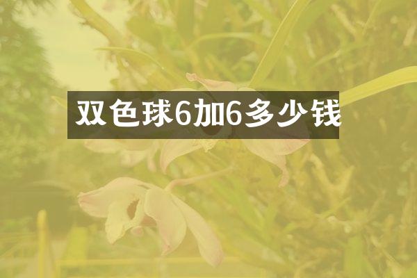 双色球6加6多少钱