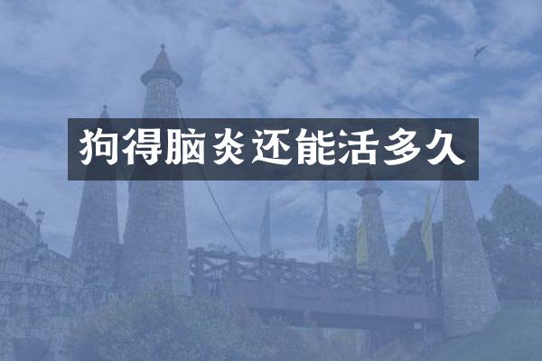 狗得脑炎还能活多久