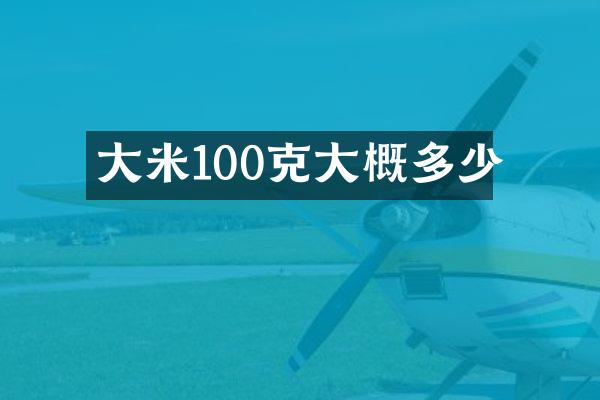 大米100克大概多少