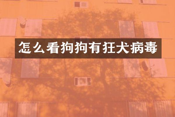 怎么看狗狗有狂犬病毒