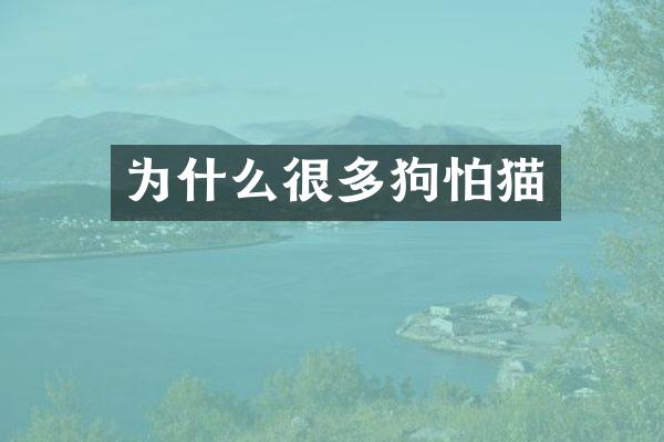 为什么很多狗怕猫