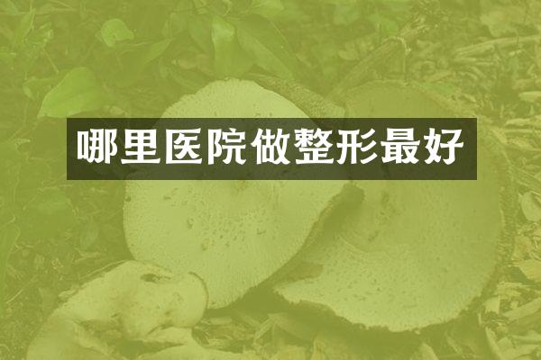 哪里医院做整形最好