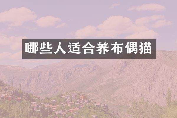 哪些人适合养布偶猫