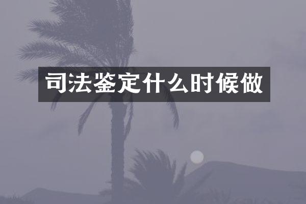 司法鉴定什么时候做