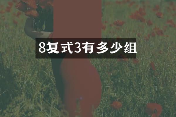 8复式3有多少组