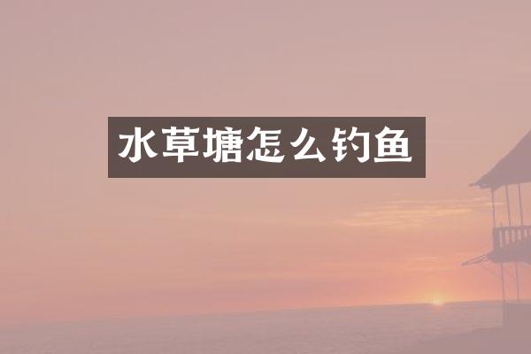 水草塘怎么钓鱼