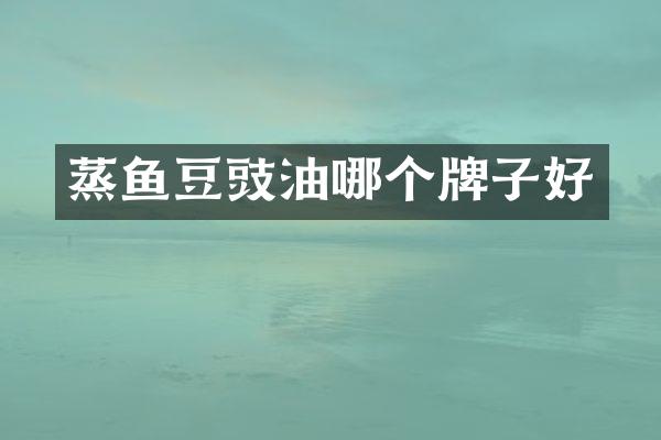 蒸鱼豆豉油哪个牌子好