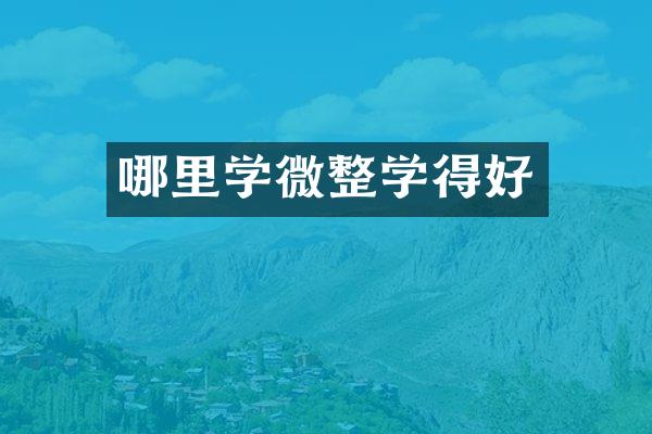 哪里学微整学得好