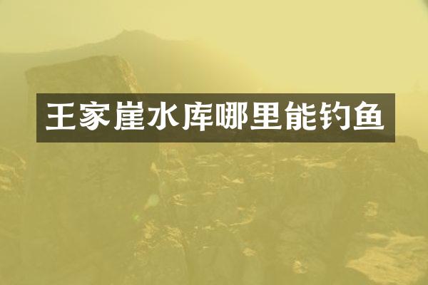 王家崖水库哪里能钓鱼