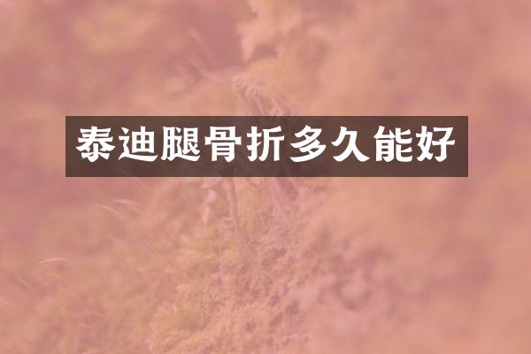 泰迪腿骨折多久能好