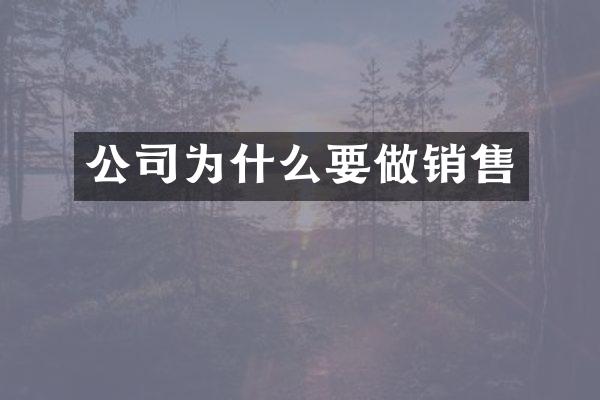 公司为什么要做销售