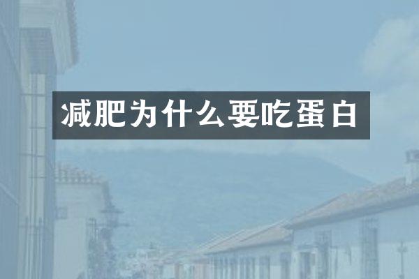 减肥为什么要吃蛋白