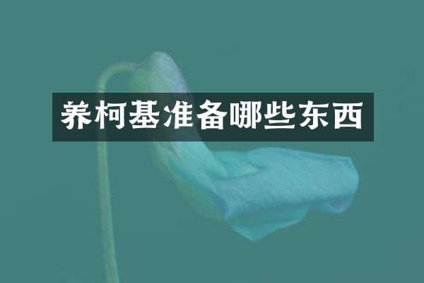 养柯基准备哪些东西