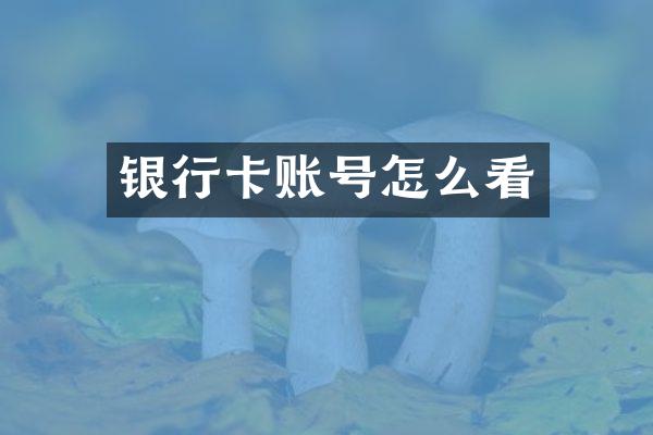 银行卡账号怎么看