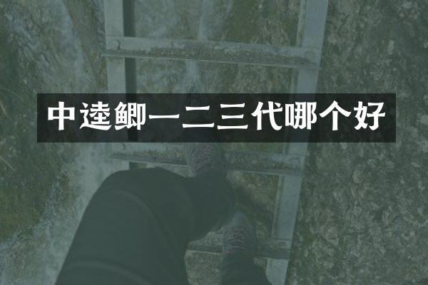 中逵鲫一二三代哪个好