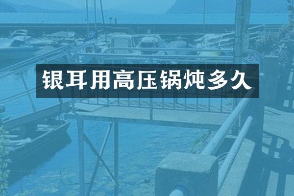 银耳用高压锅炖多久