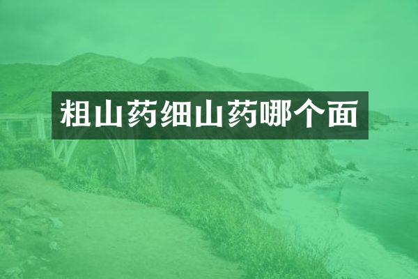 粗山药细山药哪个面