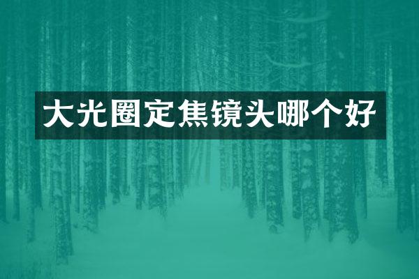 大光圈定焦镜头哪个好