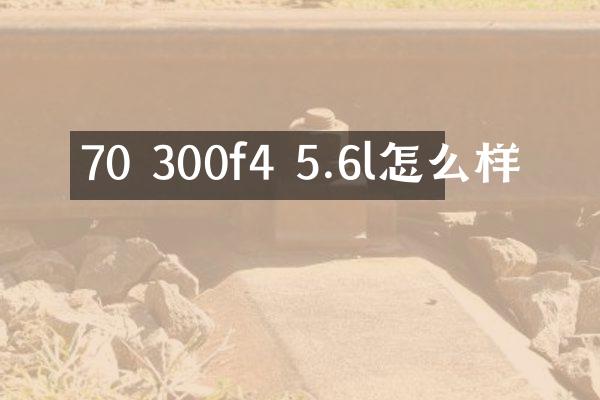 70 300f4 5.6l怎么样