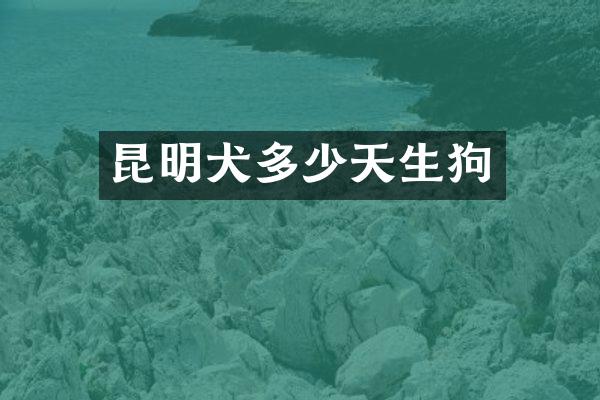 昆明犬多少天生狗