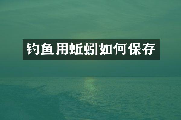 钓鱼用蚯蚓如何保存