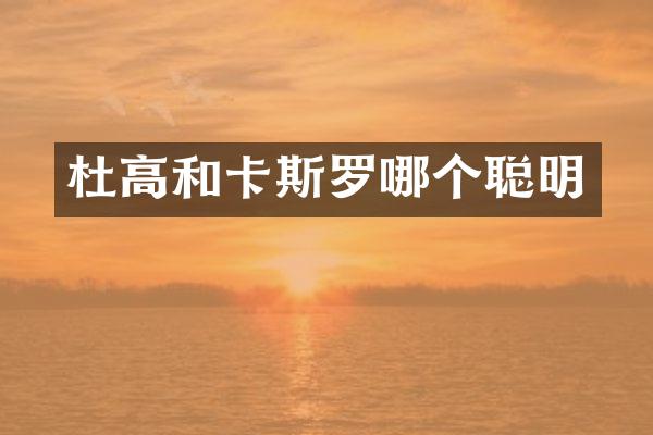杜高和卡斯罗哪个聪明