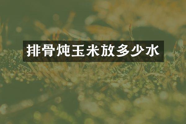 排骨炖玉米放多少水