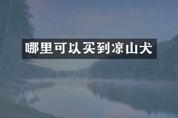 哪里可以买到凉山犬