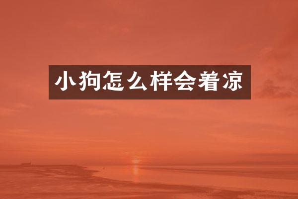 小狗怎么样会着凉