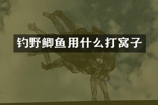 钓野鲫鱼用什么打窝子
